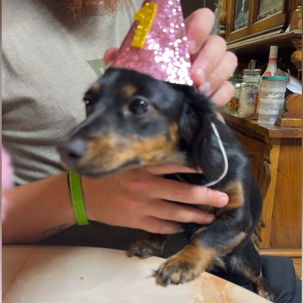 Meet your Posher, Paula